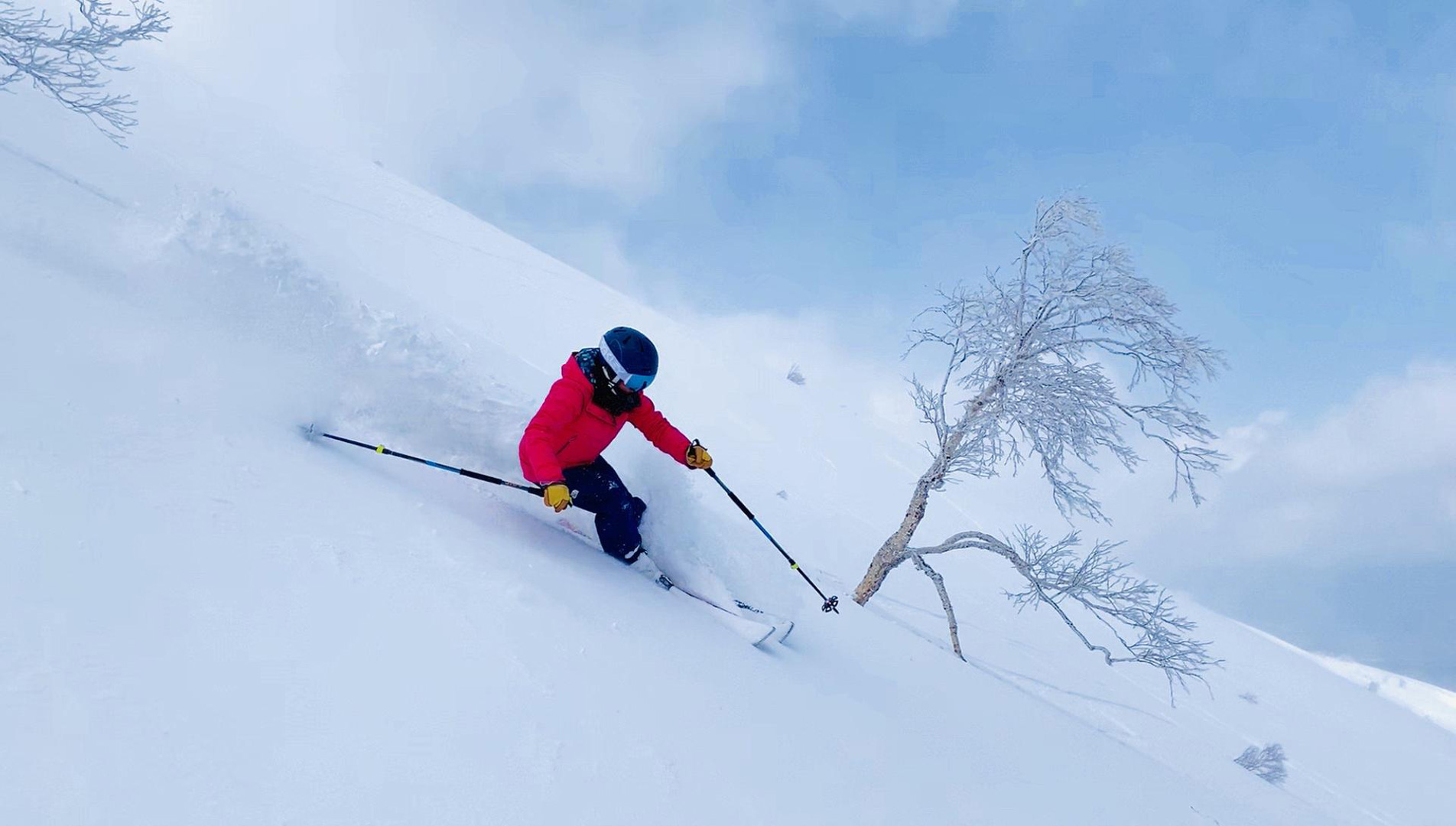 Snowboard Sales -Snowboard Sales 2